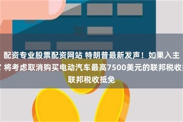 配资专业股票配资网站 特朗普最新发声！如果入主白宫 将考虑取消购买电动汽车最高7500美元的联邦税收