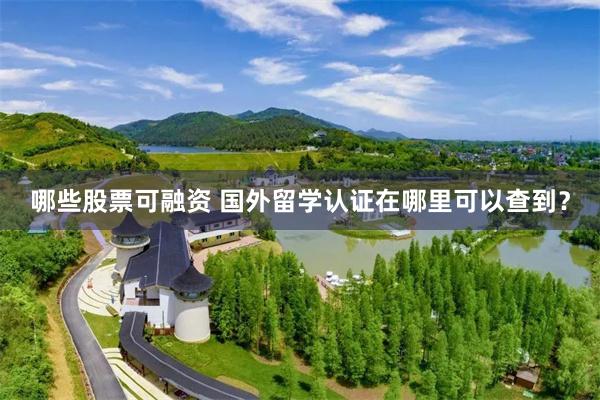哪些股票可融资 国外留学认证在哪里可以查到?