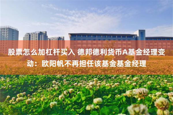 股票怎么加杠杆买入 德邦德利货币A基金经理变动:欧阳帆不再担任该基金基金经理