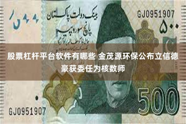 股票杠杆平台软件有哪些 金茂源环保公布立信德豪获委任为核数师