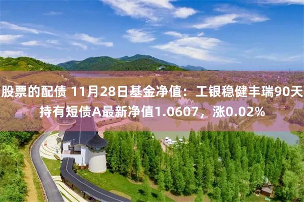 股票的配债 11月28日基金净值:工银稳健丰瑞90天持有短债A最新净值1.0607,涨0.02%