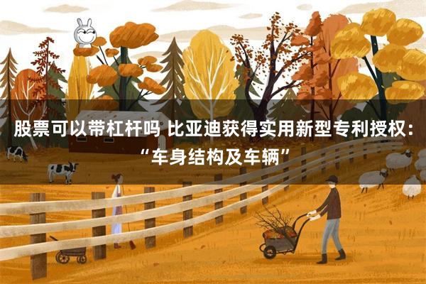 股票可以带杠杆吗 比亚迪获得实用新型专利授权:“车身结构及车辆”