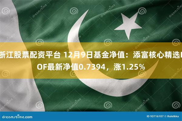 浙江股票配资平台 12月9日基金净值:添富核心精选LOF最新净值0.7394,涨1.25%
