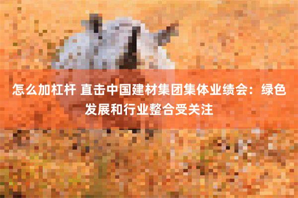 怎么加杠杆 直击中国建材集团集体业绩会：绿色发展和行业整合受关注