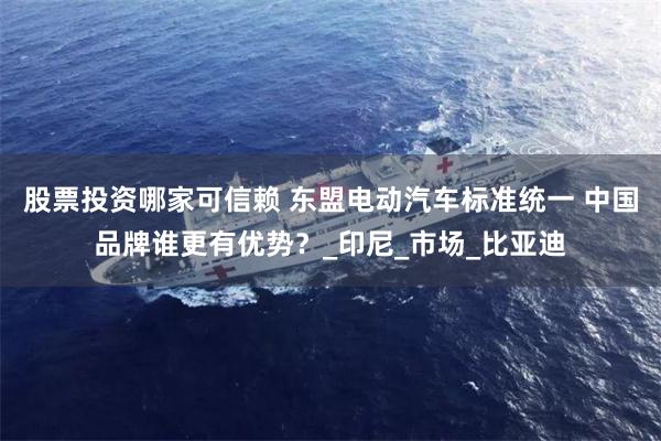 股票投资哪家可信赖 东盟电动汽车标准统一 中国品牌谁更有优势？_印尼_市场_比亚迪