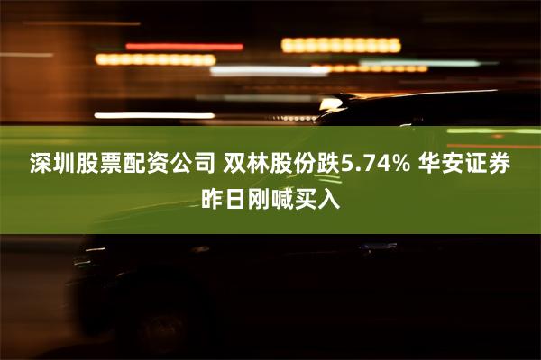 深圳股票配资公司 双林股份跌5.74% 华安证券昨日刚喊买入