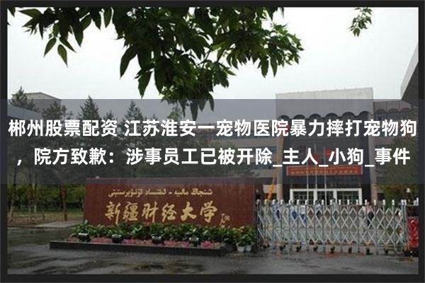 郴州股票配资 江苏淮安一宠物医院暴力摔打宠物狗，院方致歉：涉事员工已被开除_主人_小狗_事件