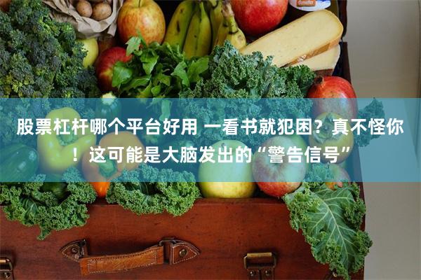股票杠杆哪个平台好用 一看书就犯困？真不怪你！这可能是大脑发出的“警告信号”