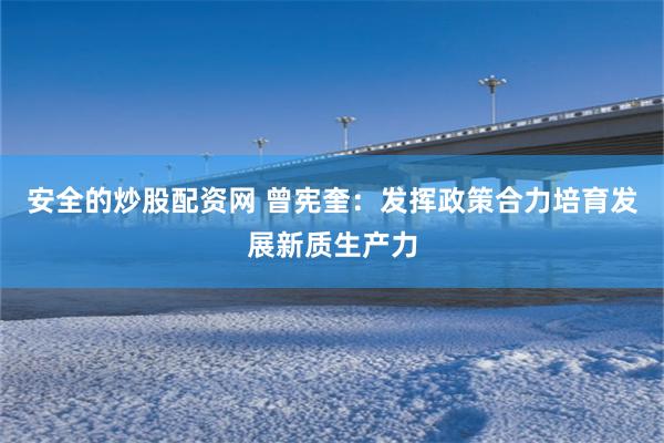 安全的炒股配资网 曾宪奎：发挥政策合力培育发展新质生产力