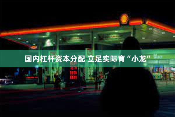 国内杠杆资本分配 立足实际育“小龙”