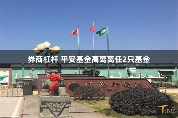 券商杠杆 平安基金高莺离任2只基金