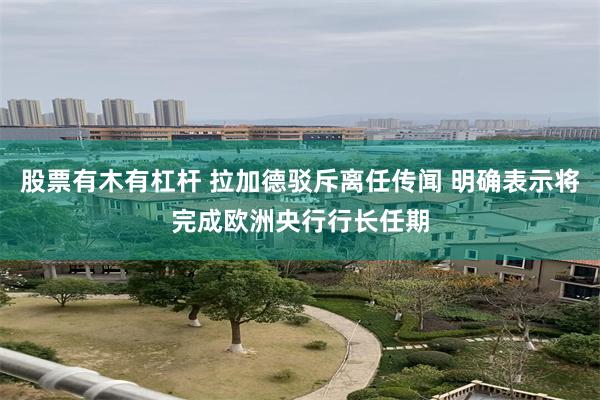 股票有木有杠杆 拉加德驳斥离任传闻 明确表示将完成欧洲央行行长任期