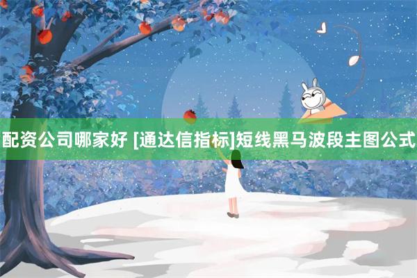 配资公司哪家好 [通达信指标]短线黑马波段主图公式