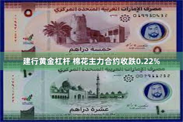 建行黄金杠杆 棉花主力合约收跌0.22%