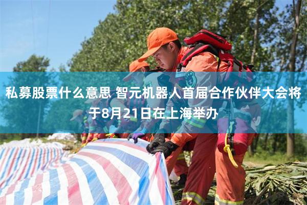 私募股票什么意思 智元机器人首届合作伙伴大会将于8月21日在上海举办