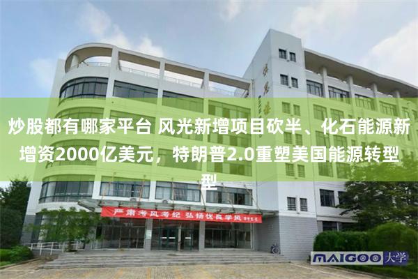 炒股都有哪家平台 风光新增项目砍半、化石能源新增资2000亿美元，特朗普2.0重塑美国能源转型
